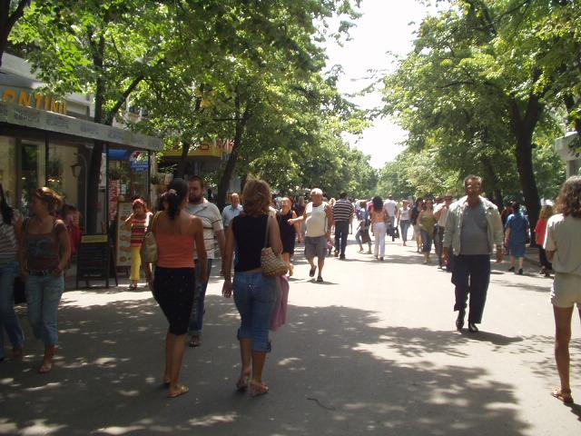 Tree-lined shopping street