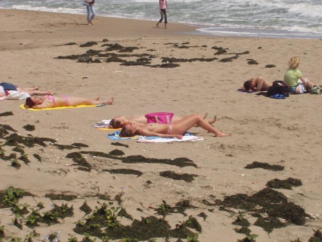 Someone must have borrowed my camera...