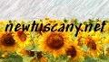 Holiday lets Veliko Tarnovo